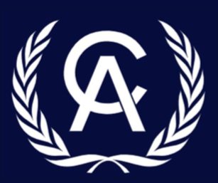 陈玮伦国际咨询(广东)有限公司